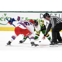 Kitchener Rangers face off with the London Knights
